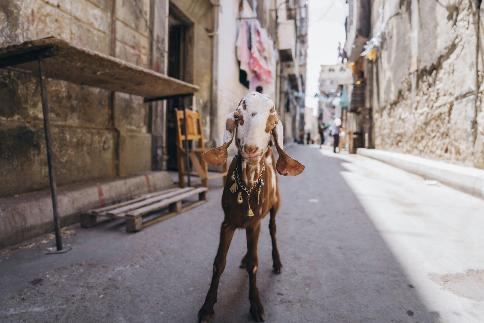 Kostenloses Stock Foto zu @draussen, 4k hintergrund, 4k wallpaper